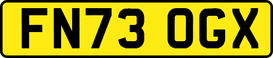 FN73OGX