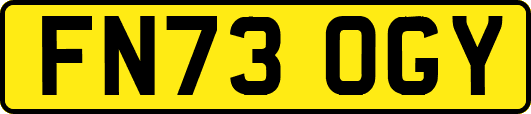 FN73OGY