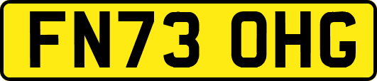 FN73OHG