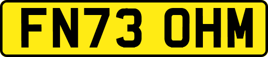 FN73OHM