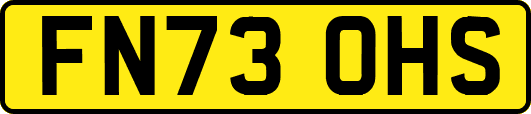 FN73OHS