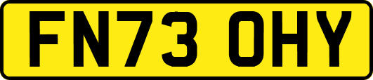FN73OHY