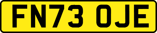 FN73OJE