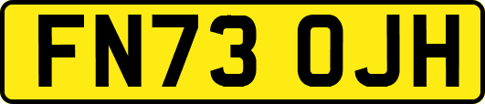 FN73OJH