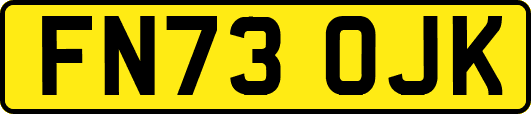 FN73OJK