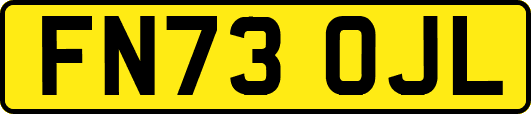 FN73OJL