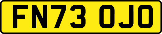 FN73OJO