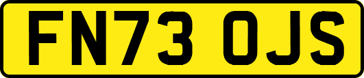 FN73OJS