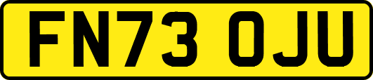 FN73OJU