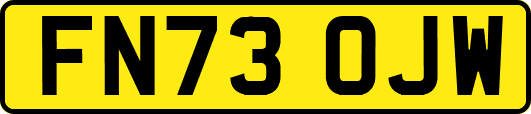 FN73OJW