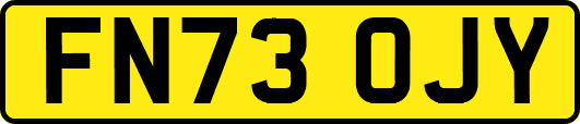 FN73OJY