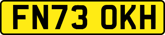 FN73OKH