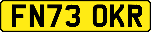 FN73OKR