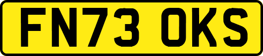 FN73OKS