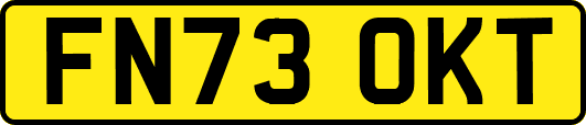 FN73OKT