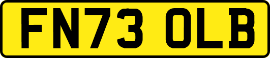 FN73OLB