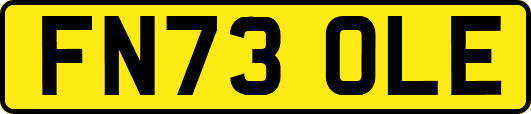 FN73OLE