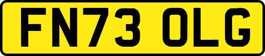 FN73OLG
