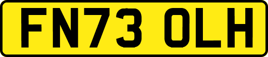 FN73OLH