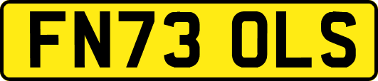 FN73OLS