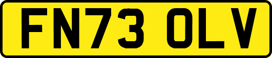 FN73OLV