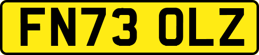 FN73OLZ