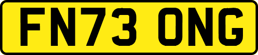 FN73ONG