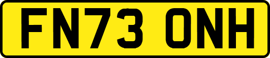 FN73ONH