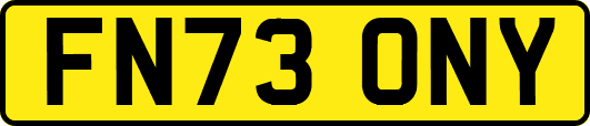 FN73ONY
