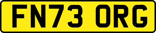 FN73ORG
