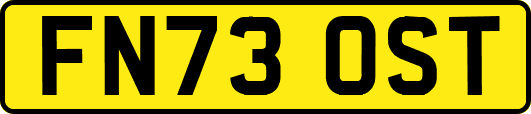 FN73OST