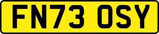 FN73OSY