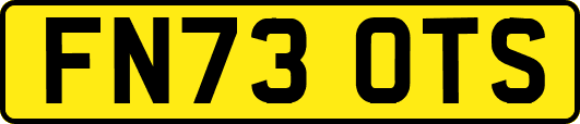 FN73OTS