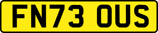 FN73OUS
