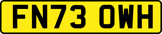 FN73OWH