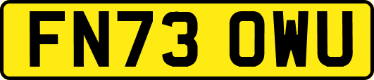 FN73OWU