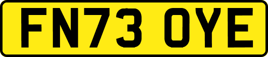 FN73OYE