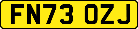 FN73OZJ