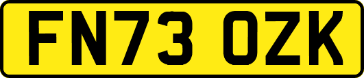 FN73OZK