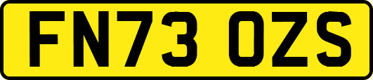 FN73OZS