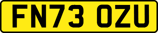 FN73OZU