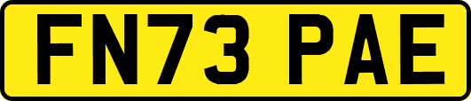 FN73PAE