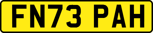 FN73PAH