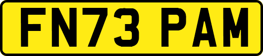 FN73PAM
