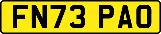 FN73PAO