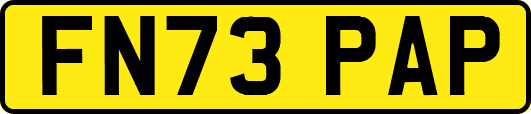 FN73PAP