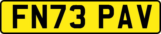 FN73PAV