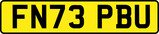 FN73PBU