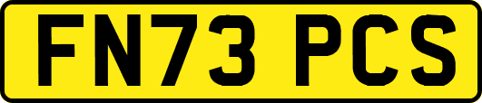 FN73PCS