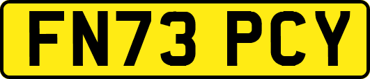 FN73PCY